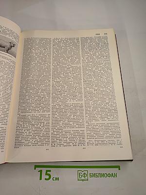 Большая Советская Энциклопедия, Том 6