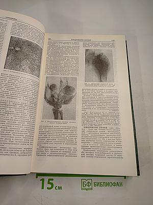 Малая медицинская энциклопедия. Том 11. Фторурацил – Ящур