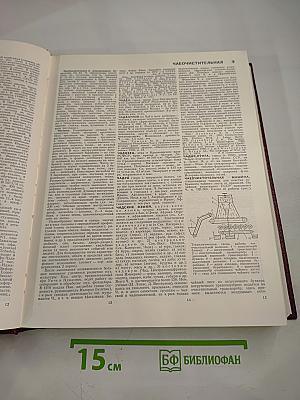 Большая Советская Энциклопедия. Том 29: Чаган — Экс-ле-Бен