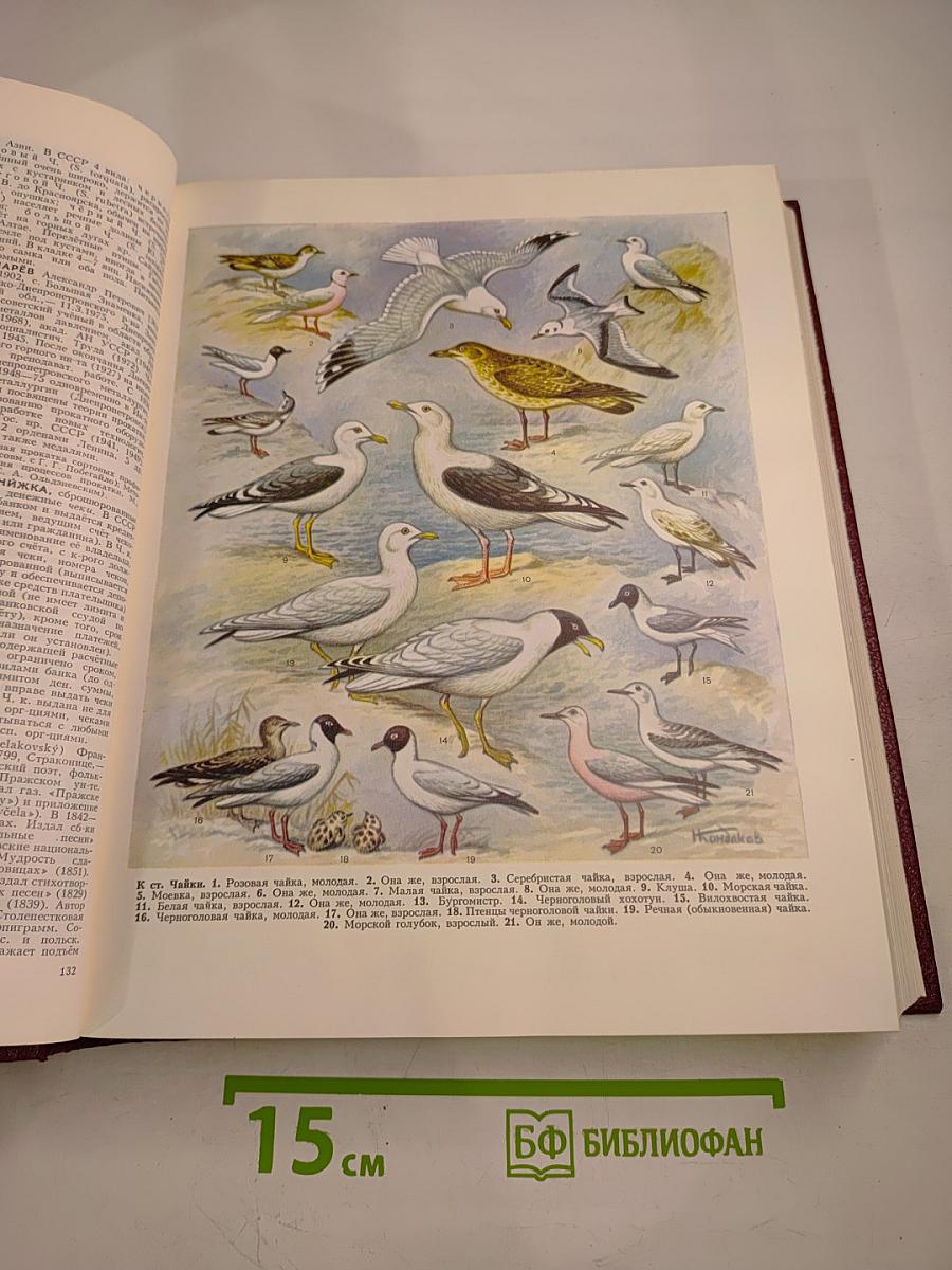 Большая Советская Энциклопедия. Том 29: Чаган — Экс-ле-Бен