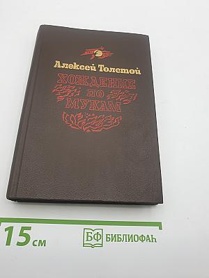 Хождение по мукам. Хмурое утро