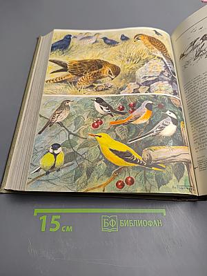 Детская энциклопедия. Том 2. Мир живой природы