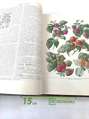 Большая советская энциклопедия, том 26 (Магнитка — Медуза)
