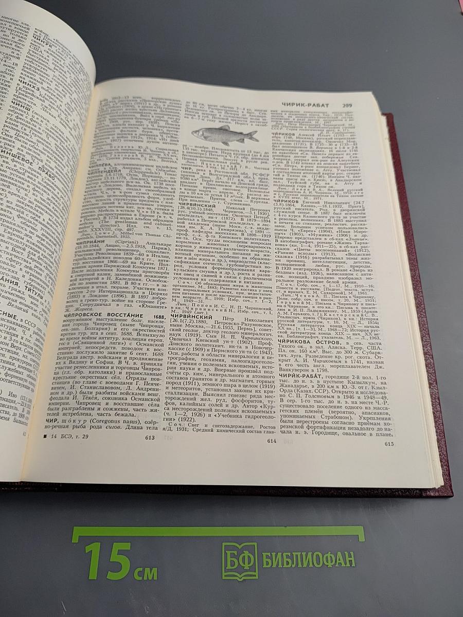 Большая Советская Энциклопедия. Том 29. Чаган — Экс-Ле-Бен