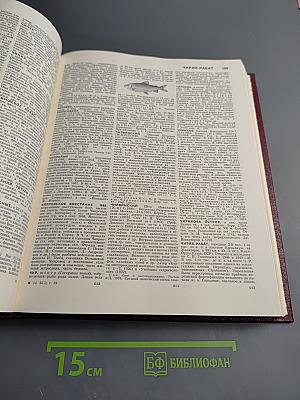 Большая Советская Энциклопедия. Том 29. Чаган — Экс-Ле-Бен