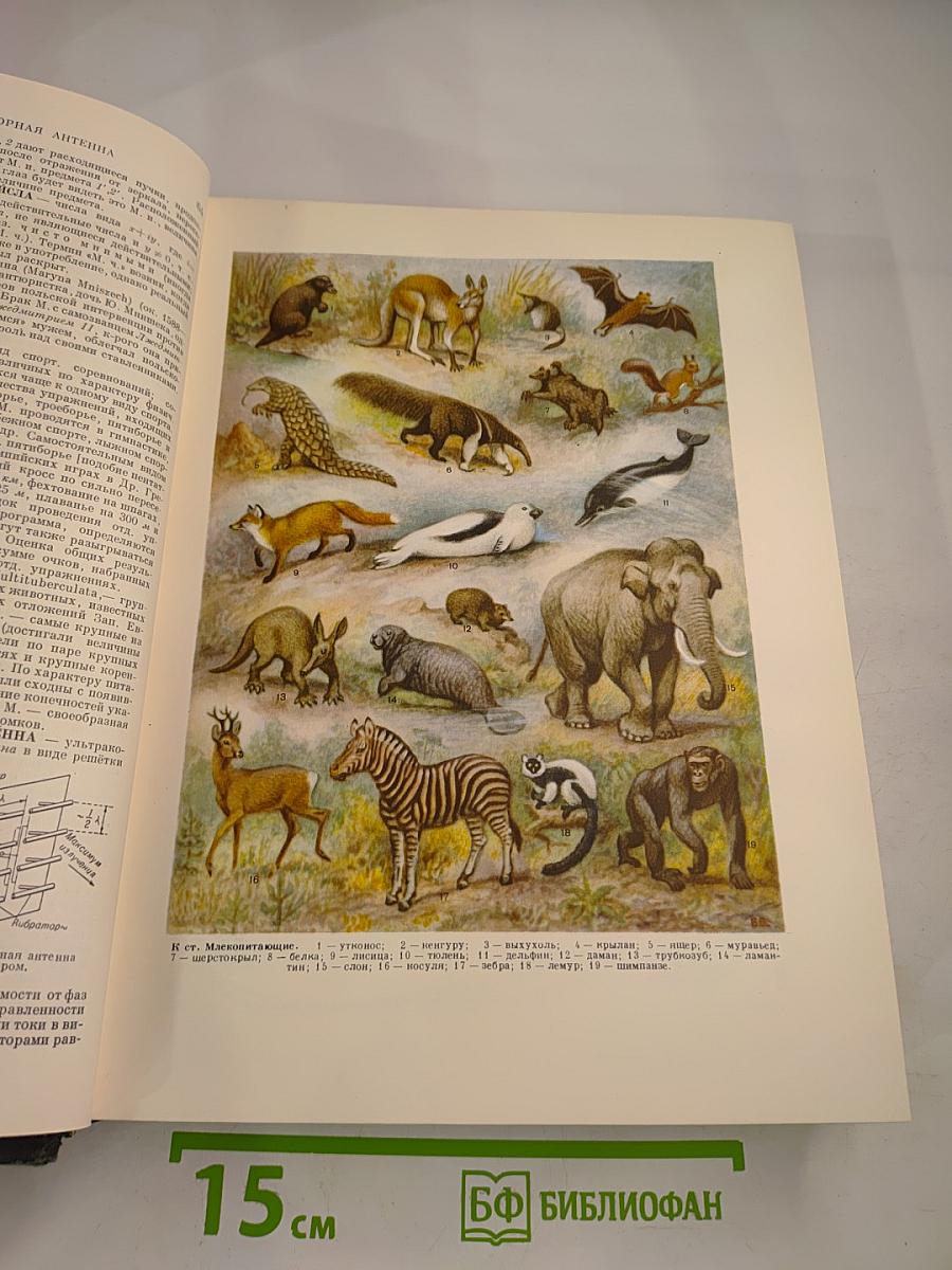 Малая Советская Энциклопедия. Том 6: Минёры — Первомайка