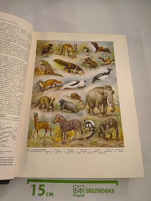 Малая Советская Энциклопедия. Том 6: Минёры — Первомайка