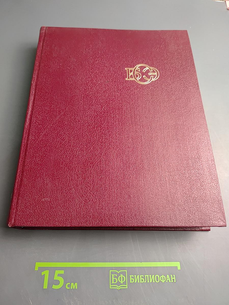 Большая Советская Энциклопедия. Том 10: Ива - Италики