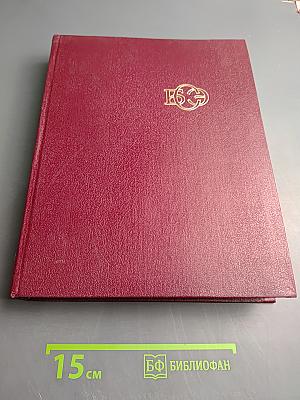 Большая Советская Энциклопедия. Том 10: Ива - Италики