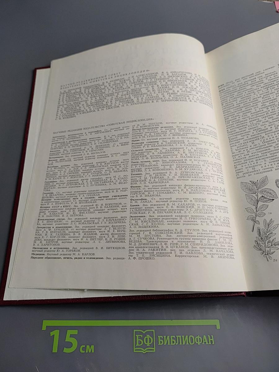 Большая Советская Энциклопедия. Том 10: Ива - Италики