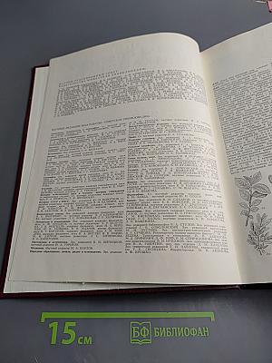 Большая Советская Энциклопедия. Том 10: Ива - Италики