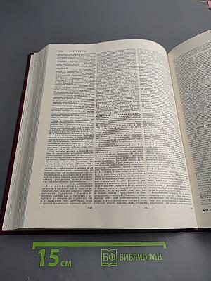 Большая Советская Энциклопедия. Том 10: Ива - Италики
