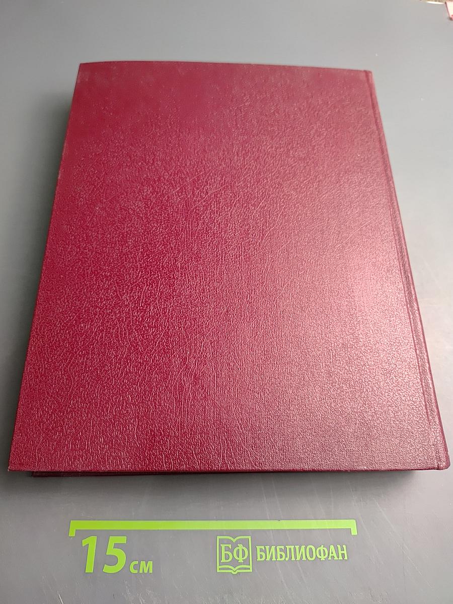 Большая Советская Энциклопедия. Том 10: Ива - Италики