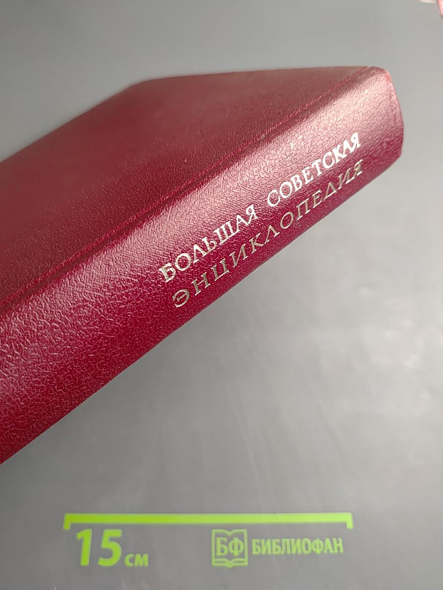 Большая Советская Энциклопедия. Том 10: Ива - Италики