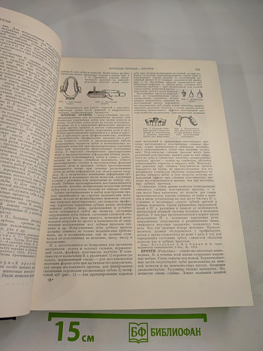 Большая Советская Энциклопедия. Том 35: Прокат - Раковины