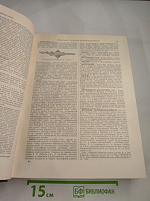 Большая Советская Энциклопедия. Том 33