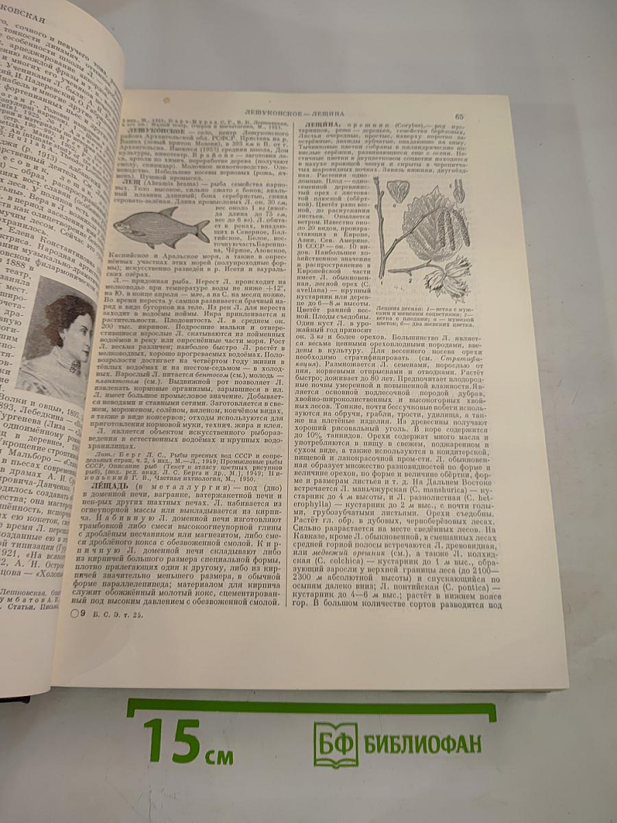 Большая Советская Энциклопедия, Том 25: Лесничий – Магнит