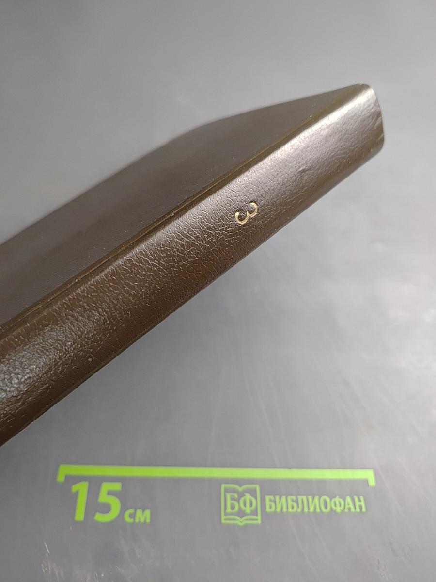 Вигьяна Бхайрава Тантра. Книга тайн. Новый комментарий. Том 3