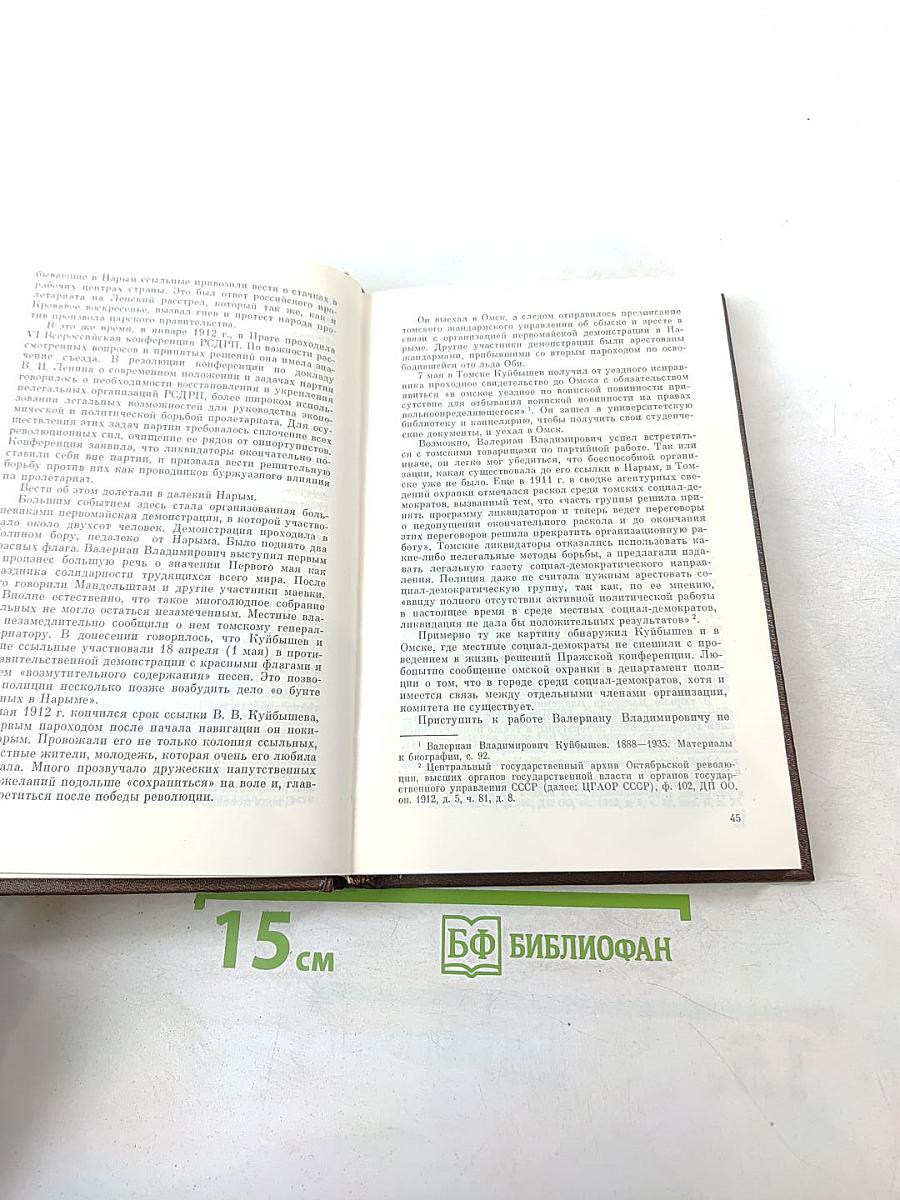 Валериан Владимирович Куйбышев. Биография