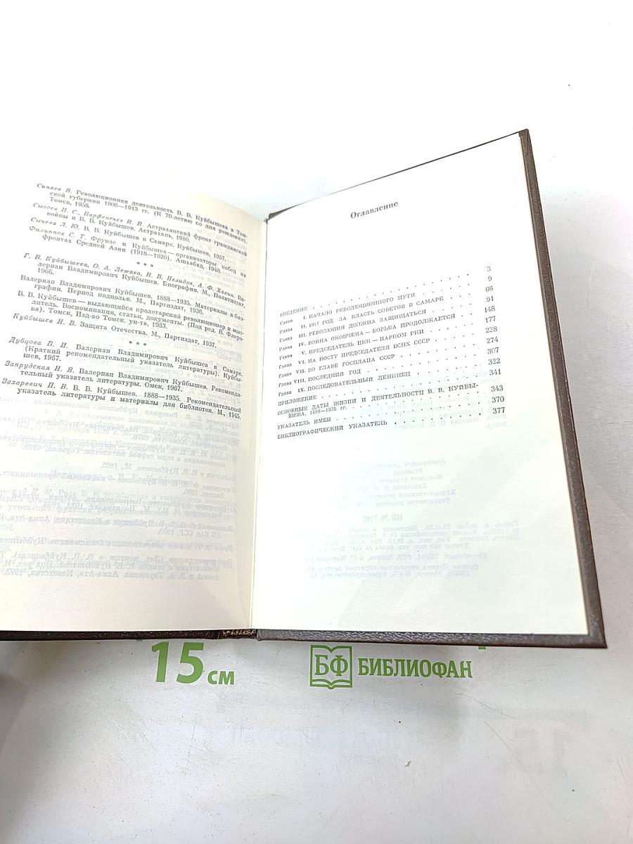 Валериан Владимирович Куйбышев. Биография