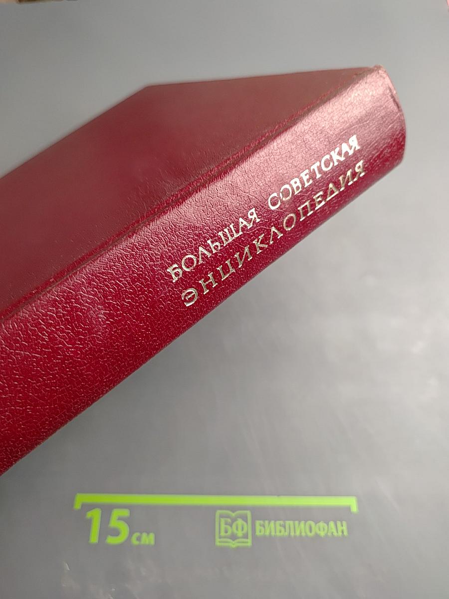 Большая Советская Энциклопедия. Том 19: Отоми - Пластырь