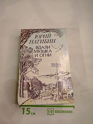 Вдали музыка и огни