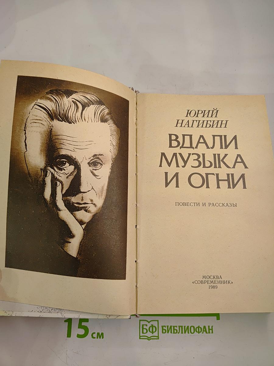 Вдали музыка и огни