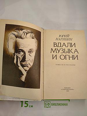 Вдали музыка и огни