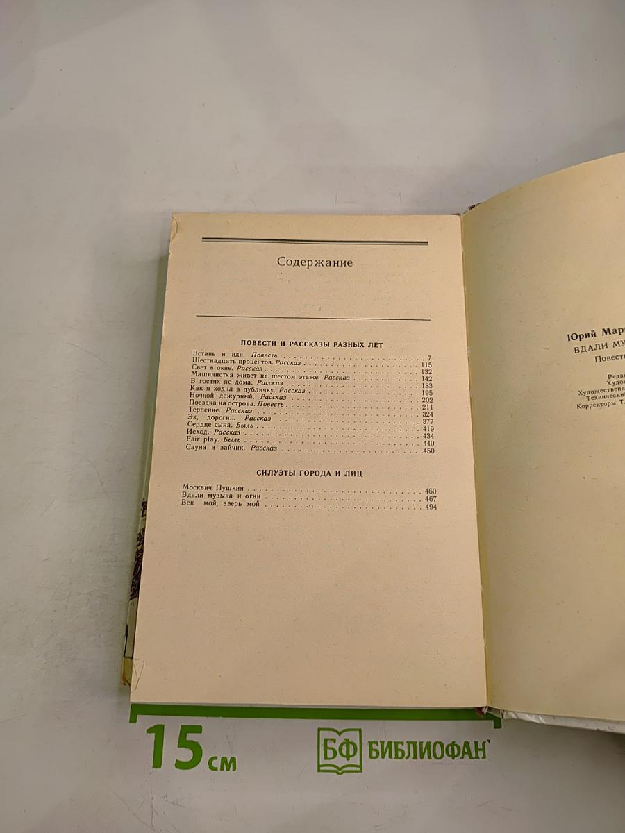 Вдали музыка и огни