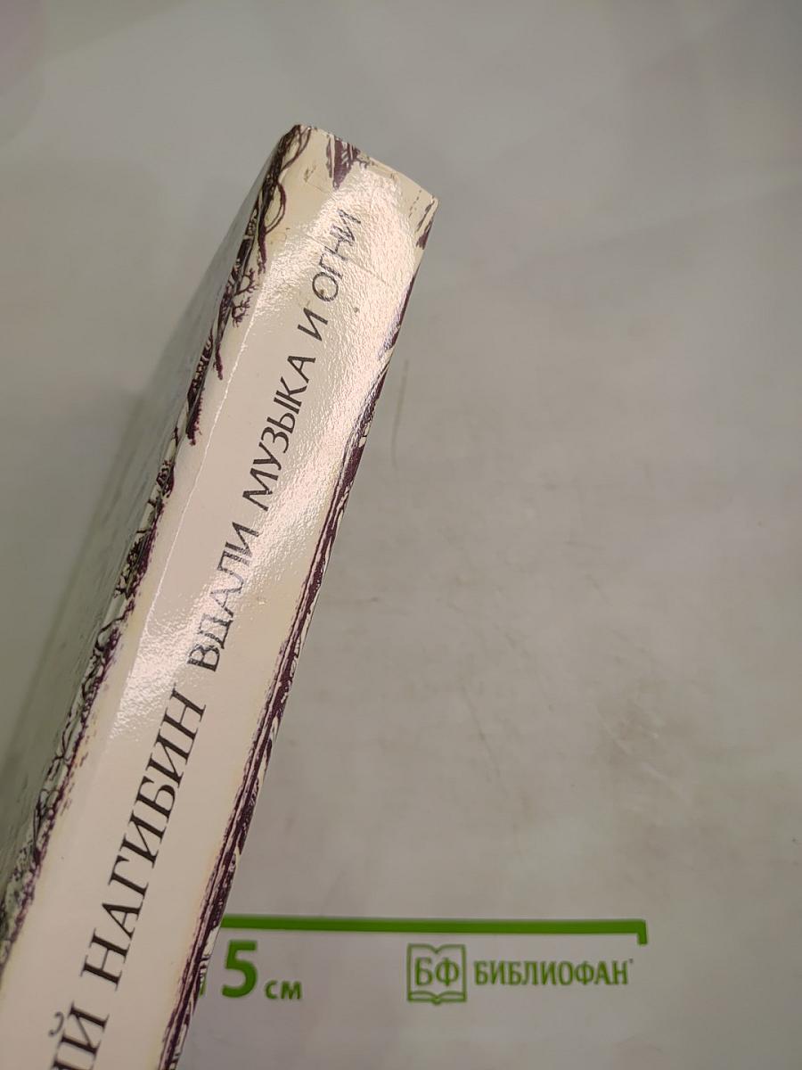 Вдали музыка и огни