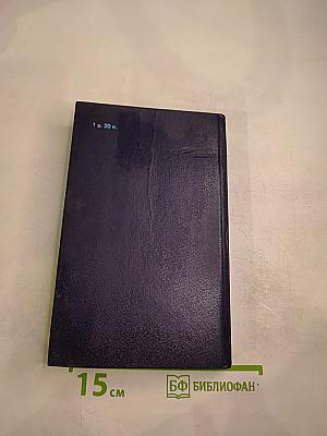 Английский язык. Произношение, грамматика, словоупотребление. Краткий справочник