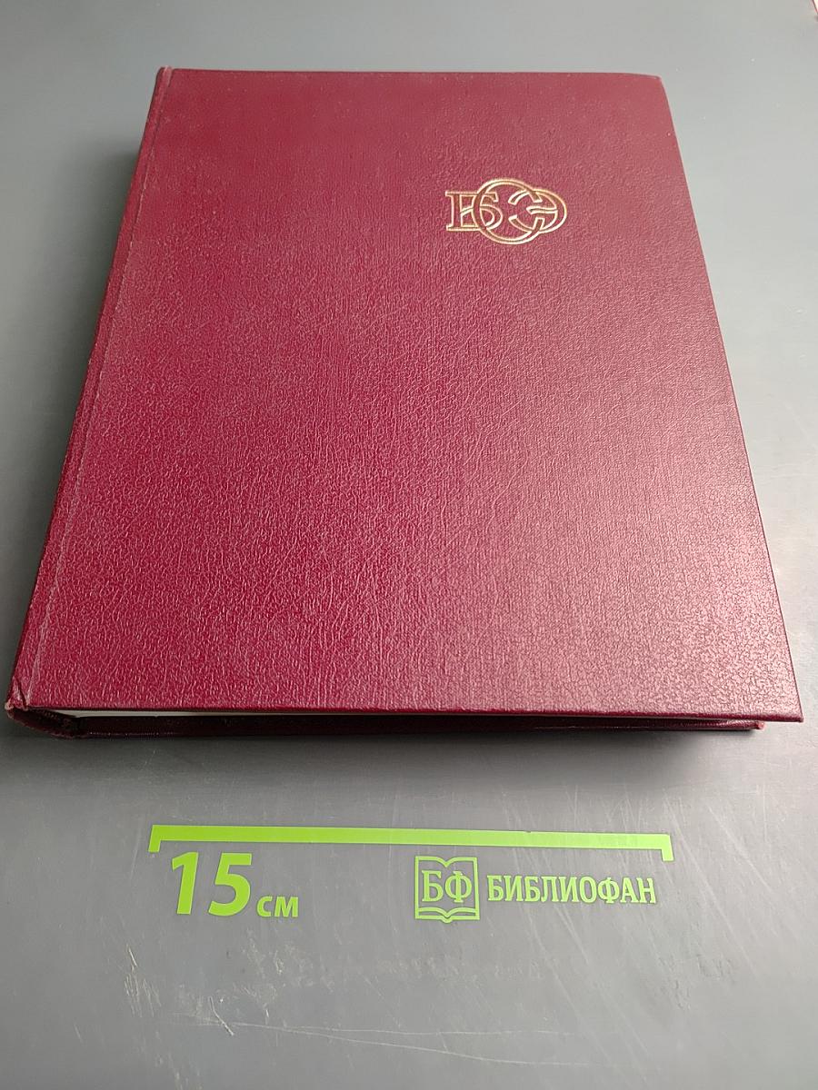 Большая Советская Энциклопедия. Том 10: Ива – Италики