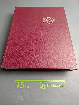 Большая Советская Энциклопедия. Том 10: Ива – Италики