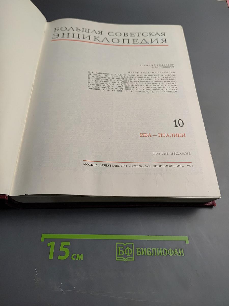 Большая Советская Энциклопедия. Том 10: Ива – Италики