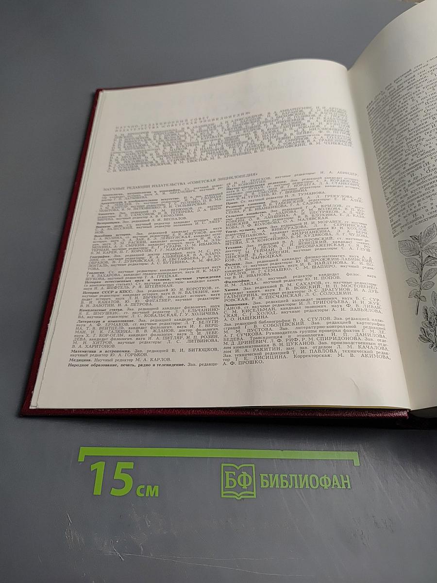 Большая Советская Энциклопедия. Том 10: Ива – Италики