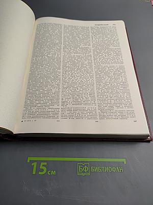 Большая Советская Энциклопедия. Том 10: Ива – Италики