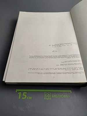 Большая Советская Энциклопедия. Том 10: Ива – Италики