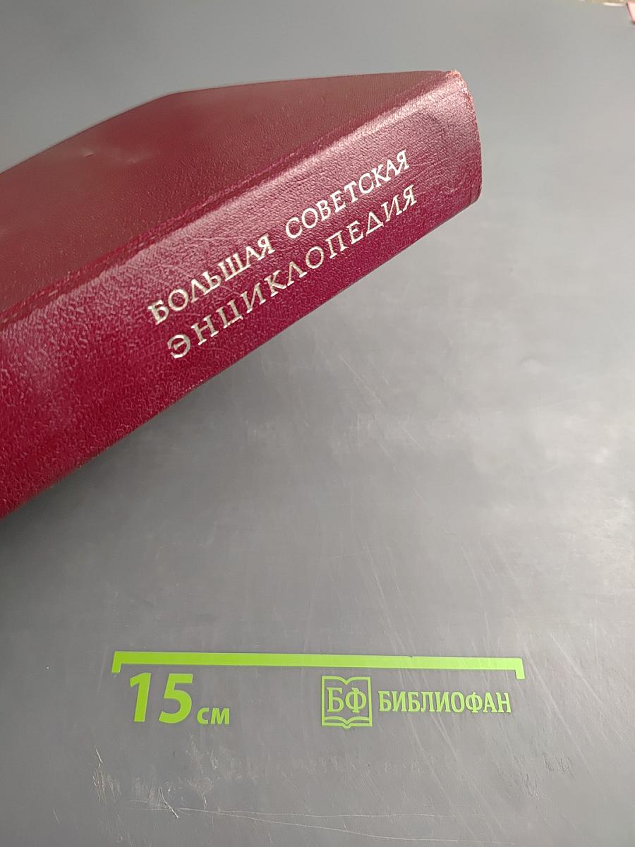 Большая Советская Энциклопедия. Том 10: Ива – Италики