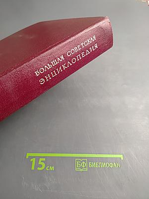 Большая Советская Энциклопедия. Том 10: Ива – Италики