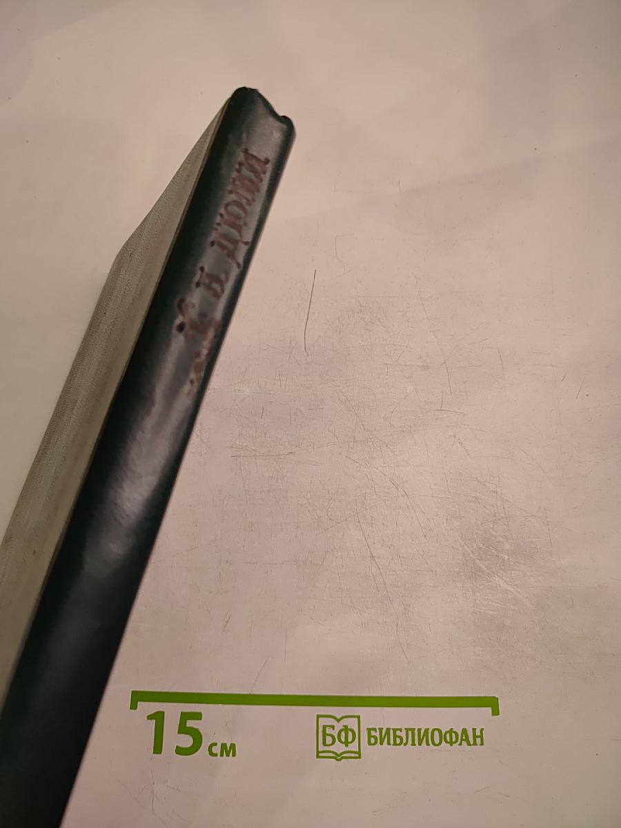 Двадцать лет спустя. Том 1