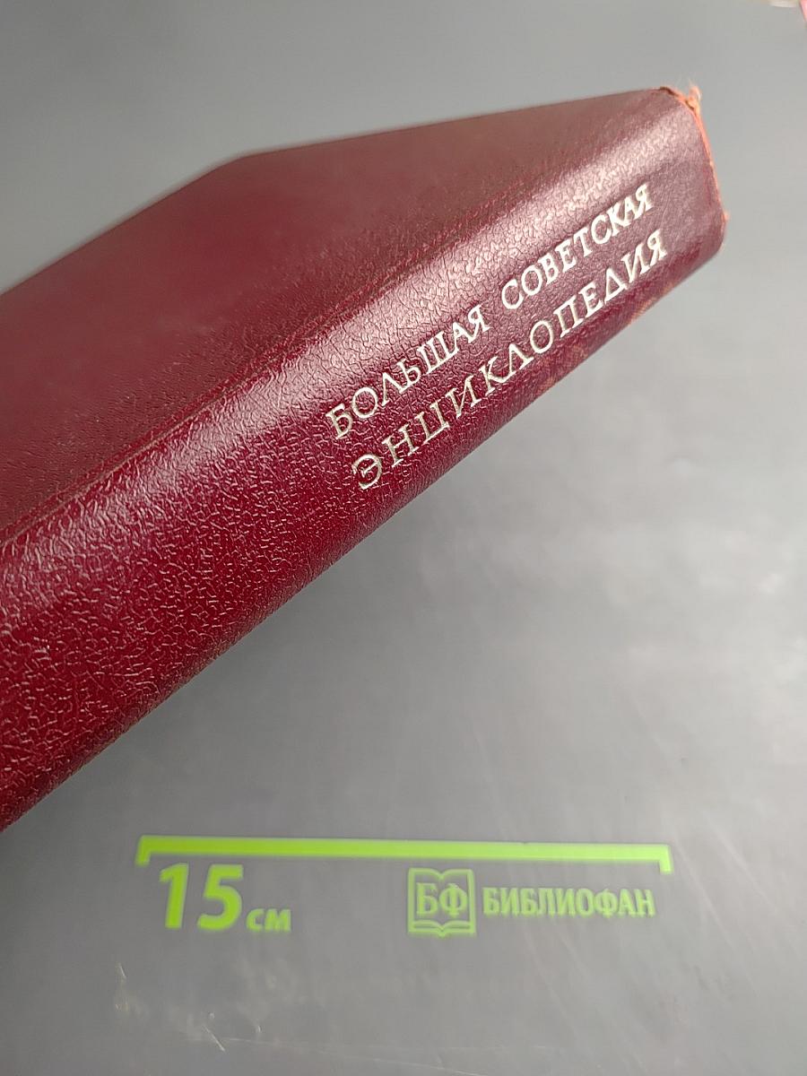 Большая Советская Энциклопедия. Том 8: Дебитор – Эвкалипт