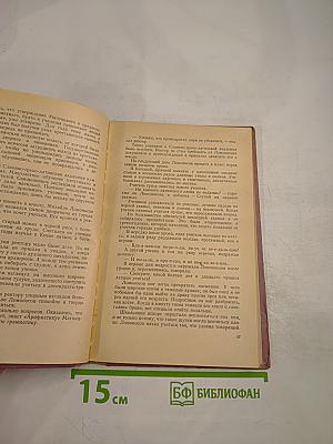 Юность Ломоносова