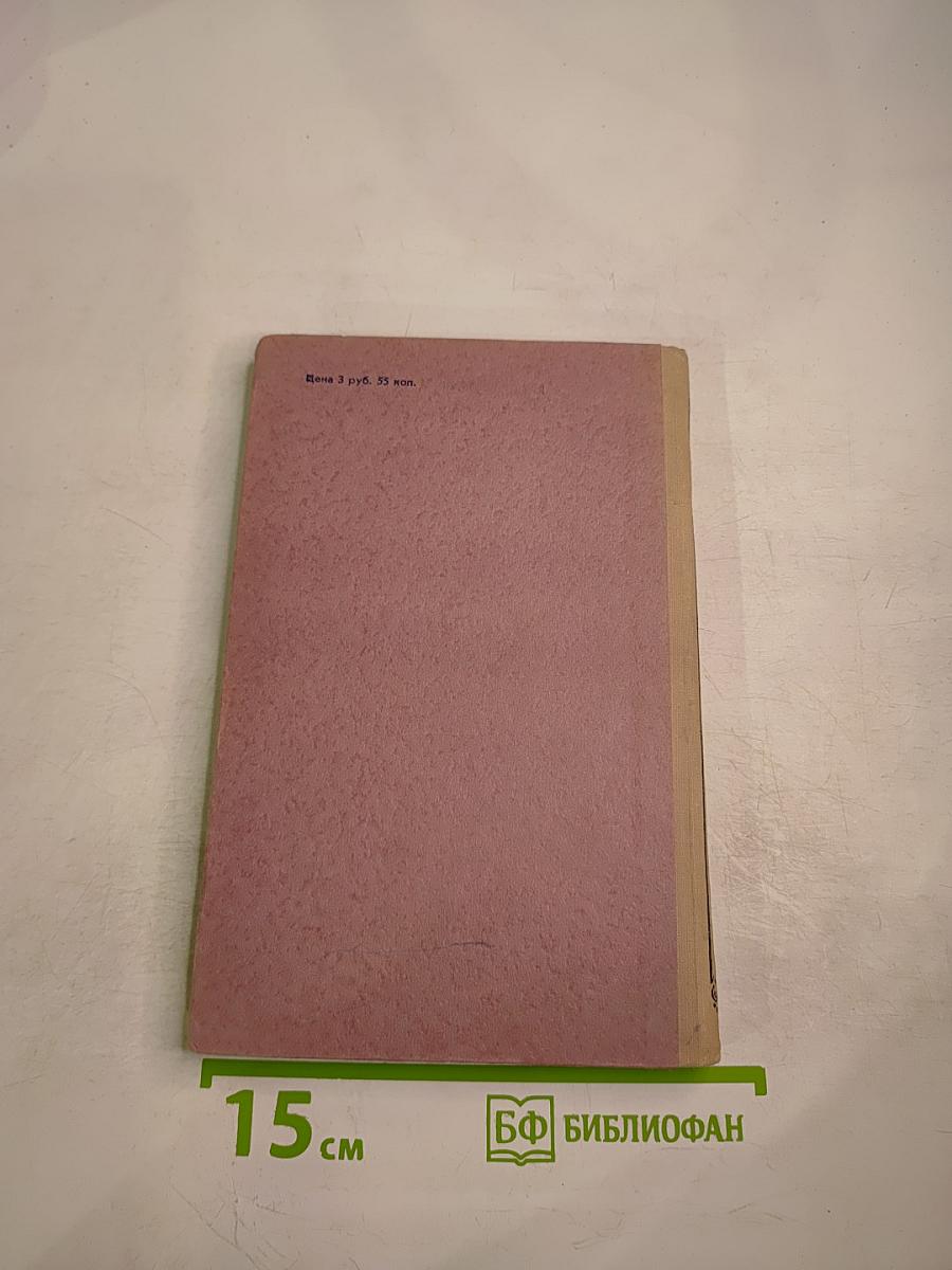 Юность Ломоносова