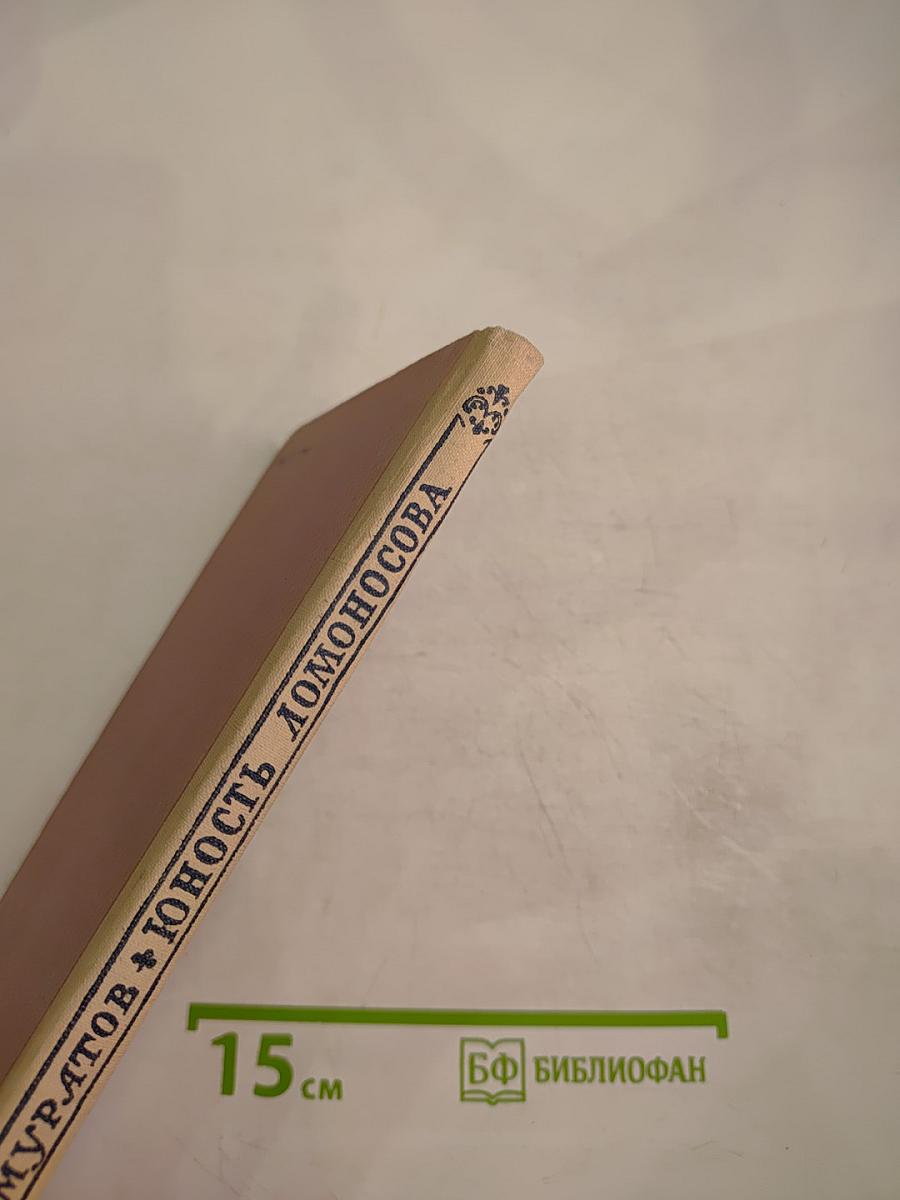 Юность Ломоносова