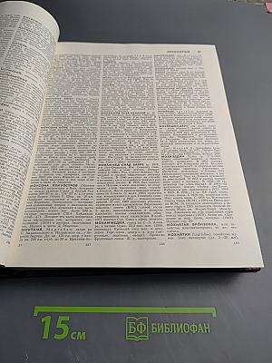 Большая Советская Энциклопедия, Том 17: Морщин – Никиш