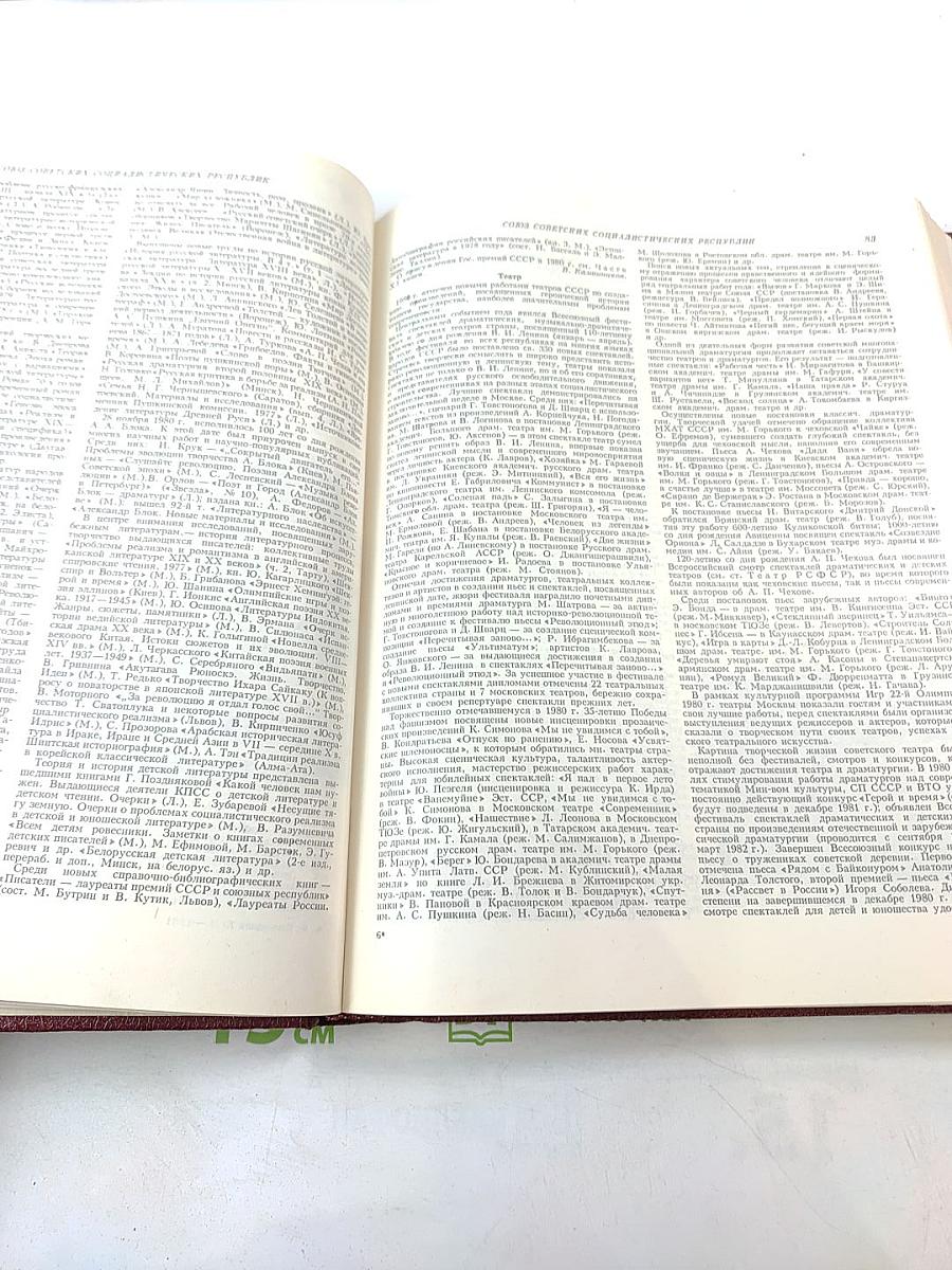 Ежегодник Большой Советской Энциклопедии 1981, Выпуск двадцать пятый