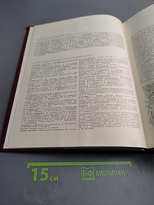 Большая Советская Энциклопедия, том 10