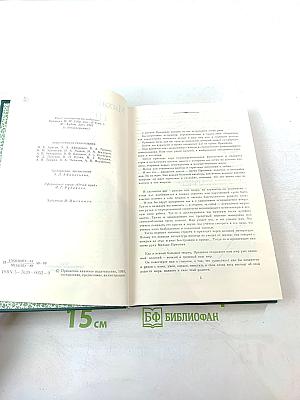 Мирская чаша