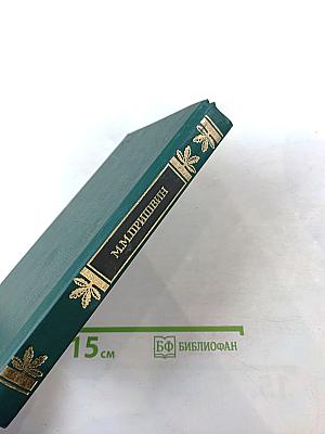 Мирская чаша