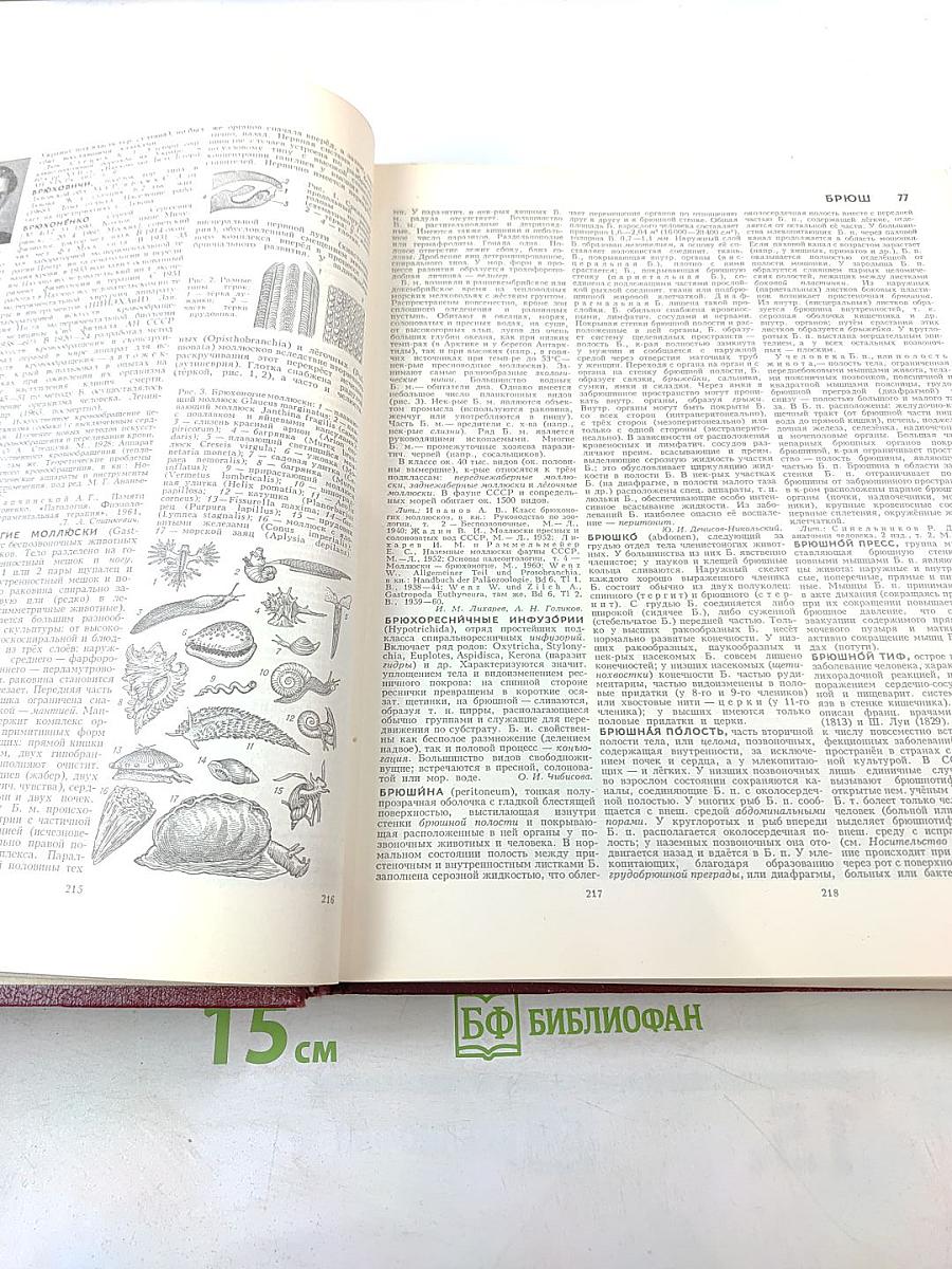 Большая Советская Энциклопедия. Том 4: БРАСОС - ВЕШ